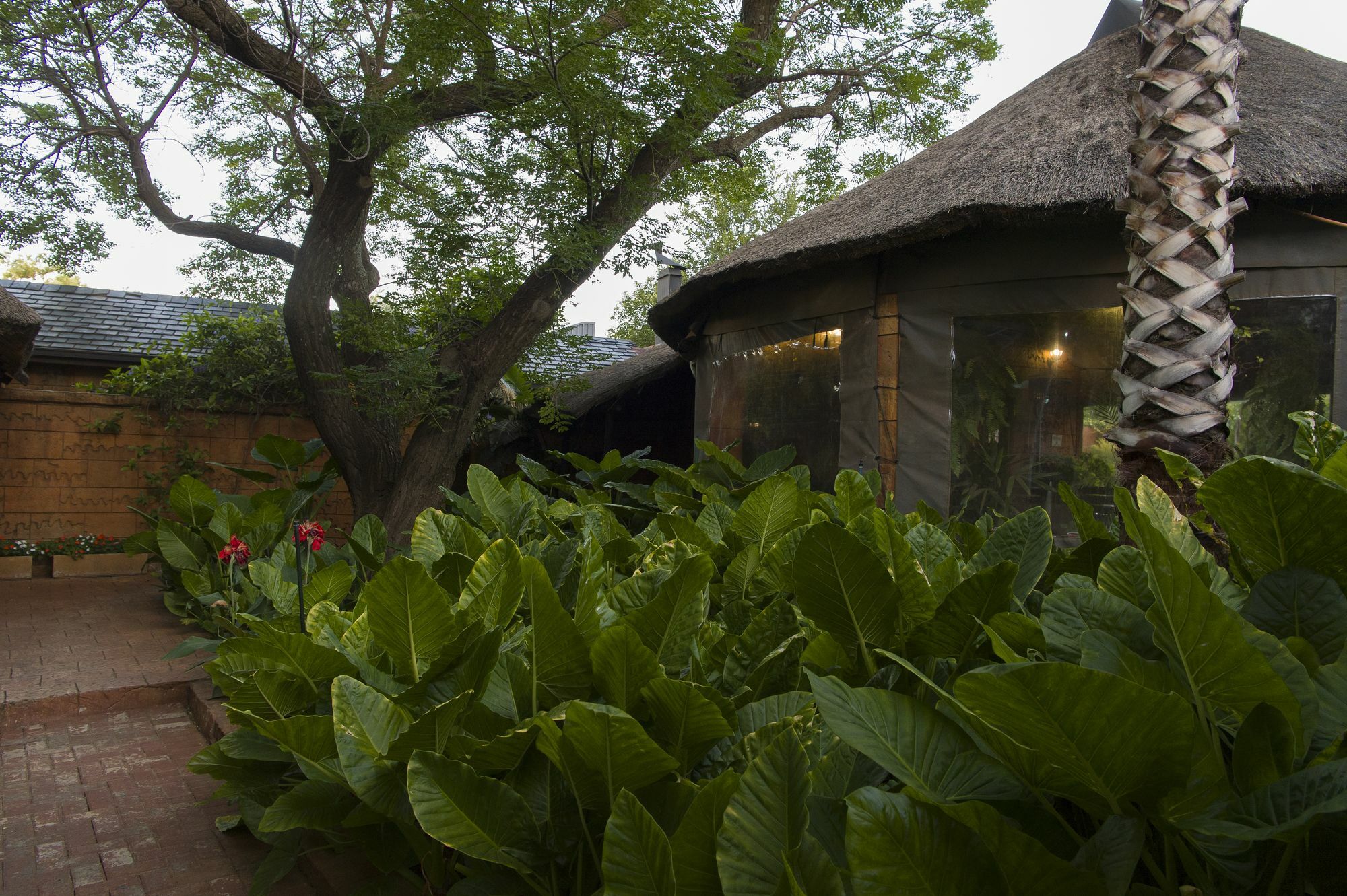 Bayswater Lodge Bloemfontein Bagian luar foto
